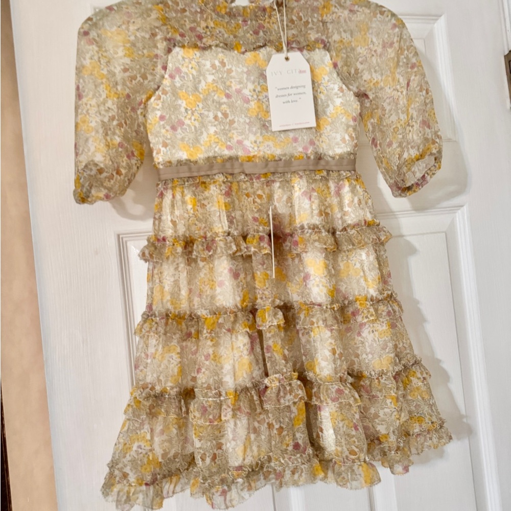 Ivy City Co Toddler Floral Ruffle Dress with Sheer Sleeves